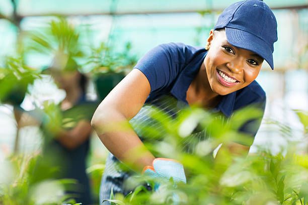 Contexte de l’appel Le Ministère de l’Agriculture, de la Souveraineté Alimentaire et de l’Elevage (MASAE), à travers le Programme de Résilience du Système Alimentaire en Afrique de l’Ouest (FSRP) finance.