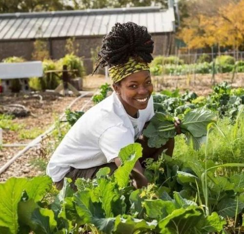 Dans le cadre de son programme d’appui aux petits producteurs, le PRESAN PC lance un appel à projets destiné aux coopératives et groupements agricoles.