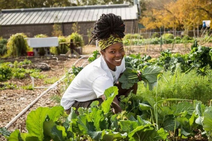 Appel à projets – Soutien aux initiatives agricoles