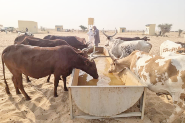 Contexte de l’appel Le Ministère de l’Agriculture, de la Souveraineté Alimentaire et de l’Elevage (MASAE), à travers le Programme de Résilience du Système Alimentaire en Afrique de l’Ouest (FSRP) finance.